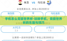 手机怎么竞猜世界杯-玩转手机，竞猜世界杯的乐趣与技巧