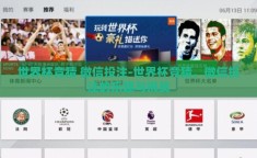 世界杯竞猜 微信投注-世界杯竞猜，微信投注的乐趣与挑战