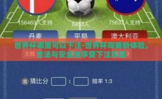 世界杯哪里可以下注-世界杯观赛新体验，合法与安全地享受下注乐趣