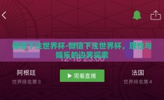 微信下注世界杯-微信下注世界杯，理性与娱乐的边界探索