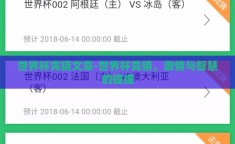 世界杯竞猜文章-世界杯竞猜，激情与智慧的碰撞