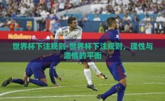 世界杯下注规则-世界杯下注规则，理性与激情的平衡