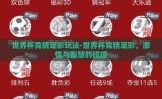 世界杯竞猜足彩玩法-世界杯竞猜足彩，激情与智慧的碰撞