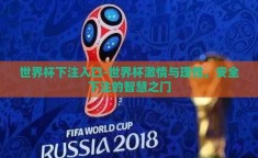 世界杯下注入口-世界杯激情与理性，安全下注的智慧之门