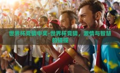 世界杯竞猜中奖-世界杯竞猜，激情与智慧的碰撞