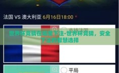 世界杯竞猜在哪里下注-世界杯竞猜，安全下注的智慧选择