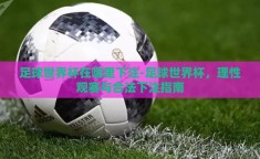足球世界杯在哪里下注-足球世界杯，理性观赛与合法下注指南