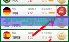 世界杯竞猜彩票赔率-世界杯竞猜彩票，揭秘赔率背后的奥秘