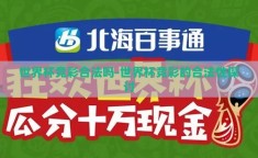 世界杯竞彩合法吗-世界杯竞彩的合法性探讨