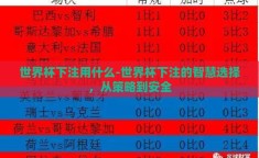 世界杯下注用什么-世界杯下注的智慧选择，从策略到安全