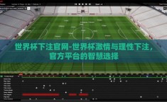 世界杯下注官网-世界杯激情与理性下注，官方平台的智慧选择