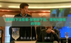 世界杯下注在哪-世界杯下注，理性与激情的平衡