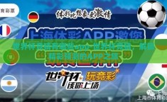 世界杯竞猜有哪些app-世界杯竞猜，解锁精彩预测的APP之旅