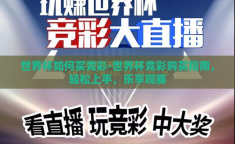 世界杯如何买竞彩-世界杯竞彩购买指南，轻松上手，乐享观赛