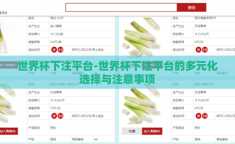 世界杯下注平台-世界杯下注平台的多元化选择与注意事项