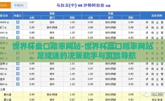 世界杯盘口赔率网站-世界杯盘口赔率网站，足球迷的决策助手与风险导航