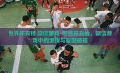 世界杯竞猜 微信游戏-世界杯竞猜，微信游戏中的激情与智慧碰撞