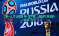 用什么下注世界杯-世界杯，智慧与激情的双重下注