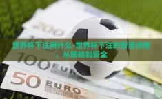 世界杯下注用什么-世界杯下注的智慧选择，从策略到安全