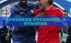 世界杯足球赛竞猜-世界杯足球赛竞猜，激情与智慧的碰撞