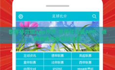 世界杯竞猜app开发-世界杯竞猜APP，点燃激情与智慧的火花