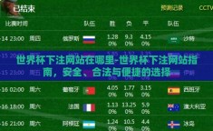 世界杯下注网站在哪里-世界杯下注网站指南，安全、合法与便捷的选择