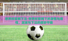 世界杯官网下注-世界杯官网下的激情与理性，足球与下注的微妙平衡