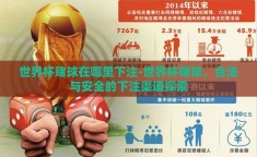 世界杯赌球在哪里下注-世界杯赌球，合法与安全的下注渠道探索