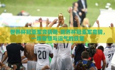 世界杯冠亚军竞猜赔-世界杯冠亚军竞猜，一场智慧与运气的较量