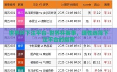 世界杯下注平台-世界杯赛事，理性选择下注平台的指南