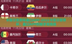 卡塔尔世界杯盘口APP-2022卡塔尔世界杯，盘口APP的数字竞技场