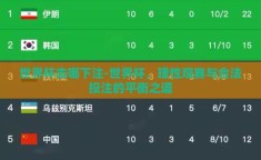 世界杯去哪下注-世界杯，理性观赛与合法投注的平衡之道