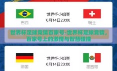 世界杯足球竞猜百家号-世界杯足球竞猜，百家号上的激情与智慧碰撞