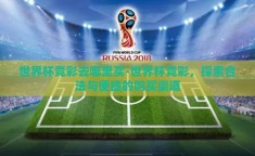 世界杯竞彩去哪里买-世界杯竞彩，探索合法与便捷的购买渠道