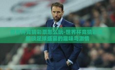 世界杯竞猜彩票怎么玩-世界杯竞猜彩票，解锁足球盛宴的趣味与激情
