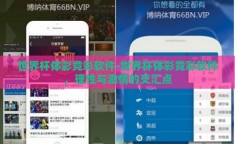 世界杯体彩竞彩软件-世界杯体彩竞彩软件，理性与激情的交汇点