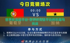 世界杯竞猜平台-世界杯竞猜平台的乐趣与挑战