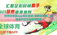 世界杯竞猜app竞彩足球-世界杯竞猜，足球迷的狂欢与智慧碰撞