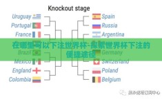 在哪里可以下注世界杯-探索世界杯下注的便捷途径