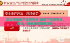 怎么用微信下注世界杯-微信下注世界杯，安全、便捷的观赛新体验