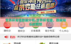世界杯竞猜数据分析-世界杯竞猜，数据背后的智慧