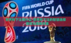 世界杯下注用什么-世界杯下注的智慧选择，理性与策略并重