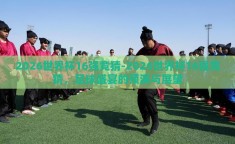 2026世界杯16强竞猜-2026世界杯16强竞猜，足球盛宴的预演与展望