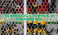 亚足联世界杯下注入口-亚足联世界杯，激情与策略并进的竞技场
