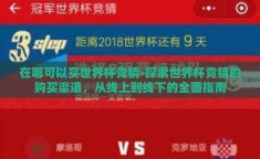在哪可以买世界杯竞猜-探索世界杯竞猜的购买渠道，从线上到线下的全面指南