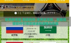 世界杯竞猜 竞猜软件-世界杯竞猜，智能竞猜软件引领足球迷的激情与乐趣