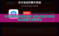 世界杯足球竞猜在哪买-世界杯足球竞猜的购买渠道与注意事项
