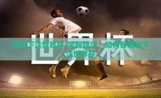 如何下注世界杯-掌握技巧，如何智慧地下注世界杯