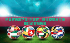 世界杯去哪下注-世界杯，理性观赛与合法投注的智慧选择