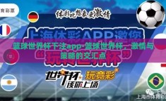 篮球世界杯下注app-篮球世界杯，激情与策略的交汇点